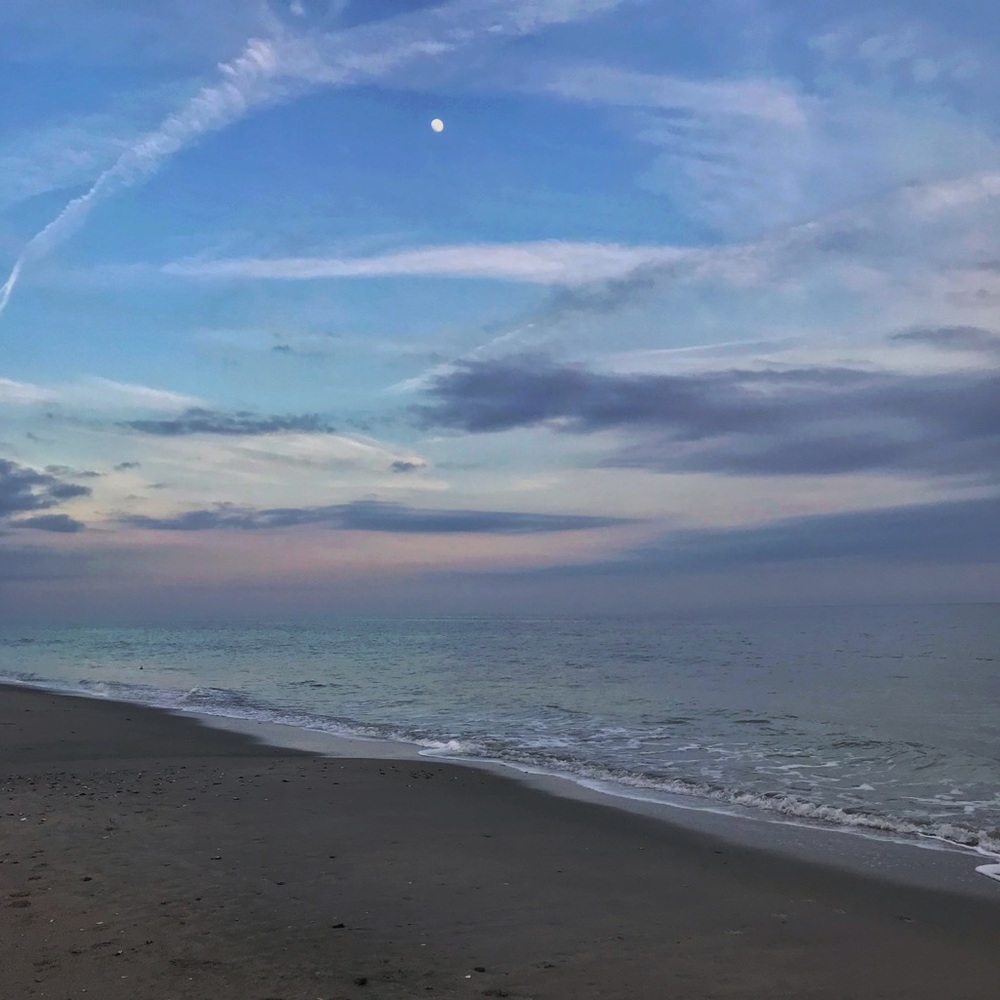 Meet your Posher, Hailey